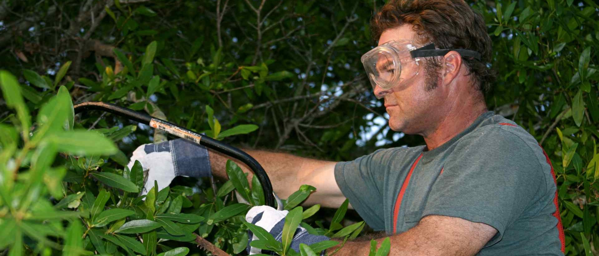 garden clearance N2