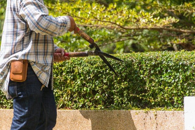 Garden Maintenance East Finchley, N2