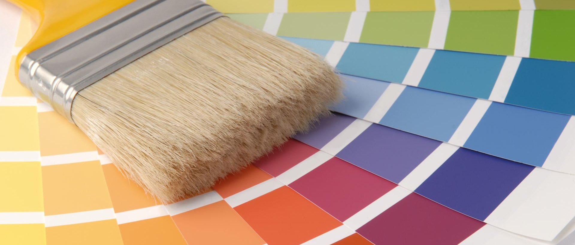 Painter N2